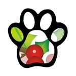sxmas10 Magnet (Paw Print)