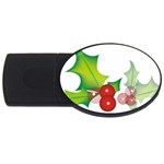 sxmas10 USB Flash Drive Oval (2 GB)