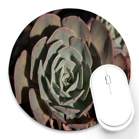 Succulent Green Pink Rosettes Round Mousepads from ArtsNow.com Front