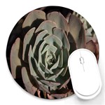 Succulent Green Pink Rosettes Round Mousepads