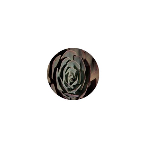 Succulent Green Pink Rosettes 1  Mini Magnets from ArtsNow.com Front