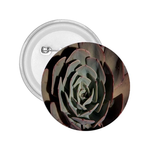 Succulent Green Pink Rosettes 2.25  Buttons from ArtsNow.com Front