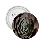 Succulent Green Pink Rosettes 2.25  Buttons