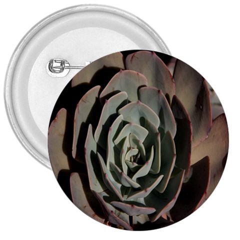 Succulent Green Pink Rosettes 3  Buttons from ArtsNow.com Front