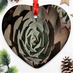 Succulent Green Pink Rosettes Ornament (Heart)