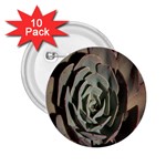 Succulent Green Pink Rosettes 2.25  Buttons (10 pack) 