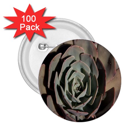 Succulent Green Pink Rosettes 2.25  Buttons (100 pack)  from ArtsNow.com Front
