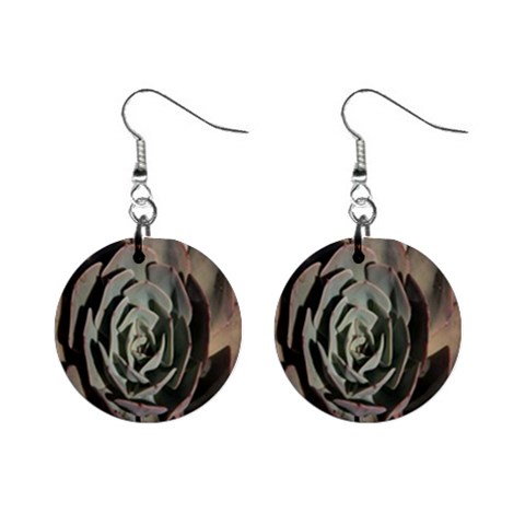 Succulent Green Pink Rosettes Mini Button Earrings from ArtsNow.com Front
