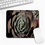 Succulent Green Pink Rosettes Large Mousepads