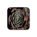 Succulent Green Pink Rosettes Rubber Coaster (Square) 