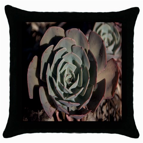 Succulent Green Pink Rosettes Throw Pillow Case (Black) from ArtsNow.com Front