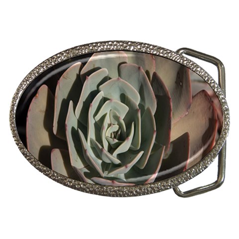 Succulent Green Pink Rosettes Belt Buckles from ArtsNow.com Front