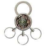 Succulent Green Pink Rosettes 3-Ring Key Chains