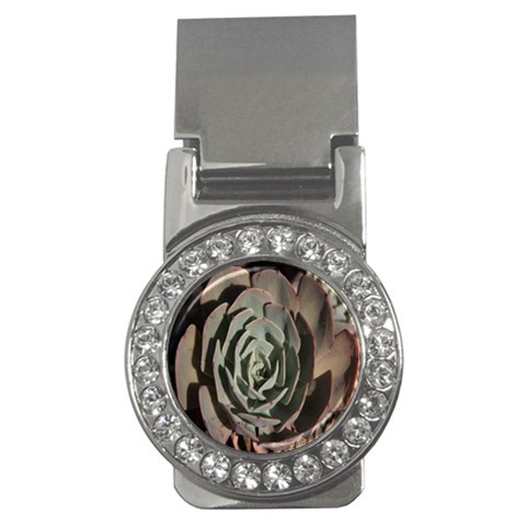 Succulent Green Pink Rosettes Money Clips (CZ)  from ArtsNow.com Front