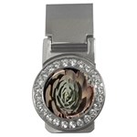 Succulent Green Pink Rosettes Money Clips (CZ) 