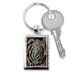 Succulent Green Pink Rosettes Key Chains (Rectangle) 