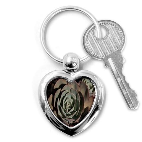 Succulent Green Pink Rosettes Key Chains (Heart)  from ArtsNow.com Front