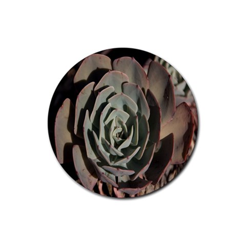 Succulent Green Pink Rosettes Rubber Round Coaster (4 pack)  from ArtsNow.com Front