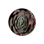 Succulent Green Pink Rosettes Rubber Round Coaster (4 pack) 