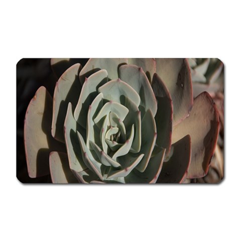 Succulent Green Pink Rosettes Magnet (Rectangular) from ArtsNow.com Front