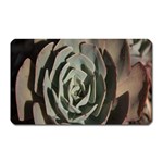 Succulent Green Pink Rosettes Magnet (Rectangular)