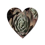Succulent Green Pink Rosettes Heart Magnet