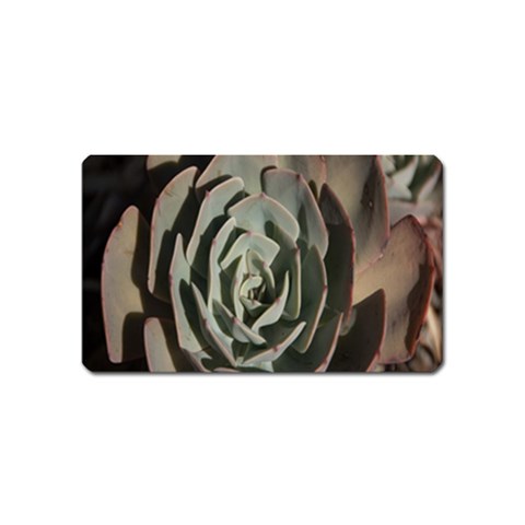 Succulent Green Pink Rosettes Magnet (Name Card) from ArtsNow.com Front