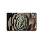 Succulent Green Pink Rosettes Magnet (Name Card)