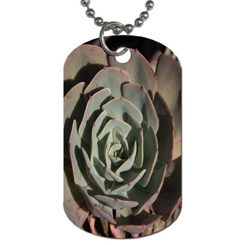 Succulent Green Pink Rosettes Dog Tag (One Side) from ArtsNow.com Front