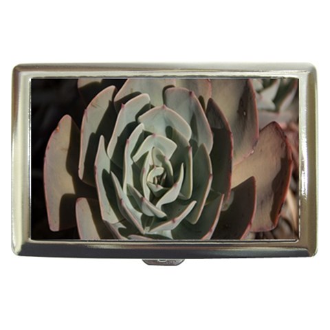 Succulent Green Pink Rosettes Cigarette Money Cases from ArtsNow.com Front