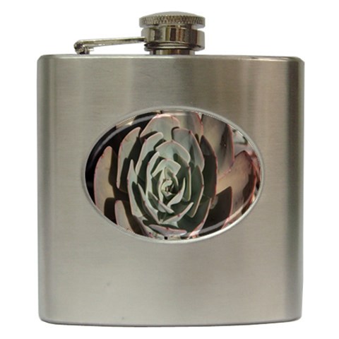 Succulent Green Pink Rosettes Hip Flask (6 oz) from ArtsNow.com Front