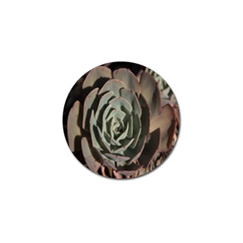 Succulent Green Pink Rosettes Golf Ball Marker (4 pack) from ArtsNow.com Front
