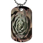Succulent Green Pink Rosettes Dog Tag (Two Sides)