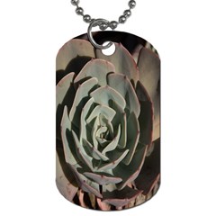Succulent Green Pink Rosettes Dog Tag (Two Sides) from ArtsNow.com Back