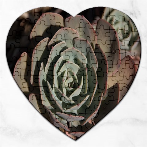Succulent Green Pink Rosettes Jigsaw Puzzle (Heart) from ArtsNow.com Front