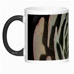 Succulent Green Pink Rosettes Morph Mugs