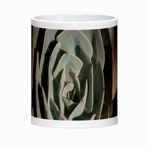 Succulent Green Pink Rosettes Morph Mugs from ArtsNow.com Center
