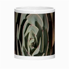 Succulent Green Pink Rosettes Morph Mugs from ArtsNow.com Center