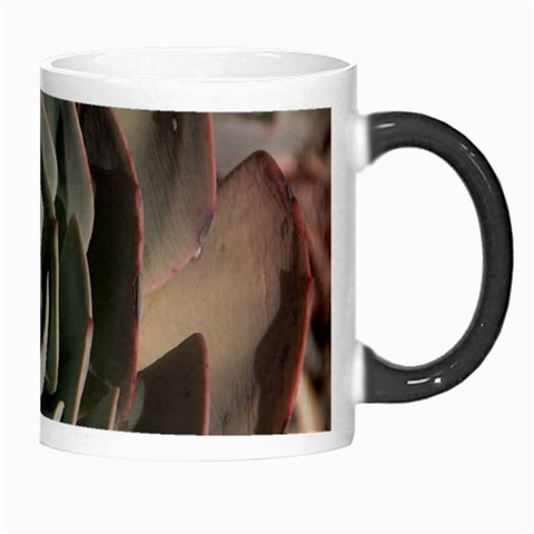 Succulent Green Pink Rosettes Morph Mugs from ArtsNow.com Right