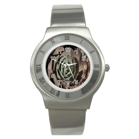 Succulent Green Pink Rosettes Stainless Steel Watch from ArtsNow.com Front