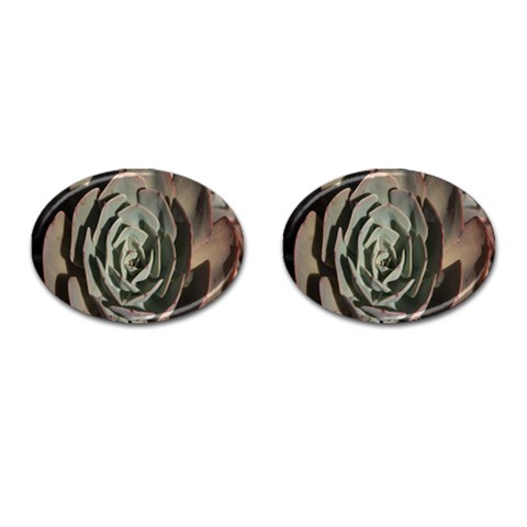 Succulent Green Pink Rosettes Cufflinks (Oval) from ArtsNow.com Front(Pair)
