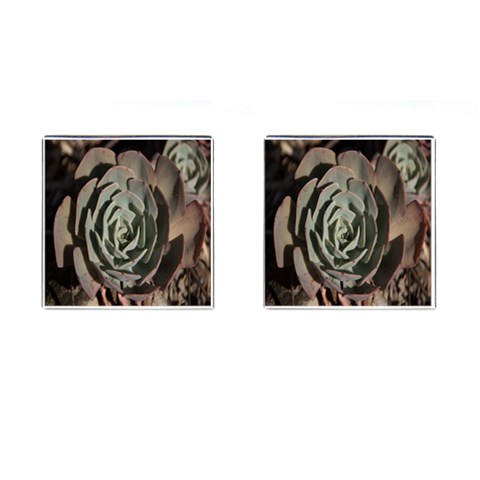 Succulent Green Pink Rosettes Cufflinks (Square) from ArtsNow.com Front(Pair)