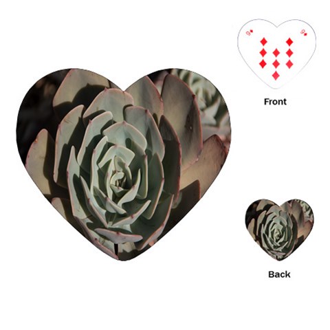 Succulent Green Pink Rosettes Playing Cards (Heart)  from ArtsNow.com Front