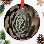 Succulent Green Pink Rosettes Round Ornament (Two Sides)