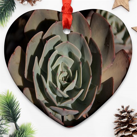 Succulent Green Pink Rosettes Heart Ornament (Two Sides) from ArtsNow.com Front