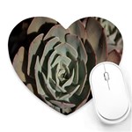 Succulent Green Pink Rosettes Heart Mousepads