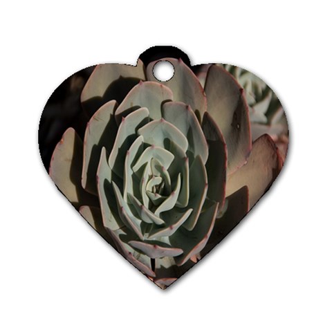 Succulent Green Pink Rosettes Dog Tag Heart (Two Sides) from ArtsNow.com Front