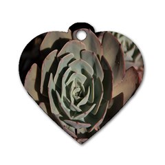 Succulent Green Pink Rosettes Dog Tag Heart (Two Sides) from ArtsNow.com Back