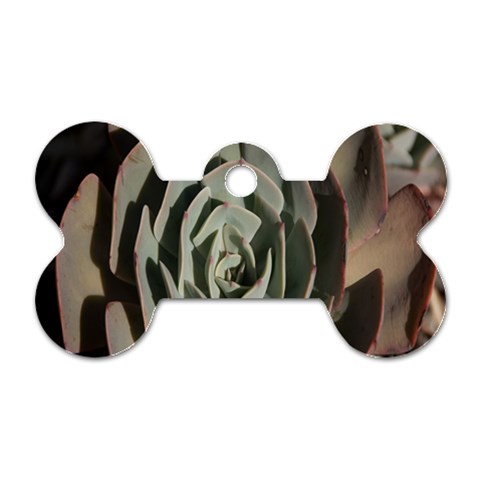 Succulent Green Pink Rosettes Dog Tag Bone (Two Sides) from ArtsNow.com Front