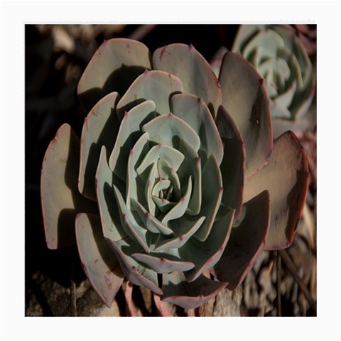 Succulent Green Pink Rosettes Medium Glasses Cloth (2 Back